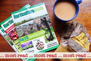 Most read this week